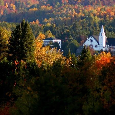 Your Cozy Cabin Retreat Saint-Remi-d'Amherst 外观 照片