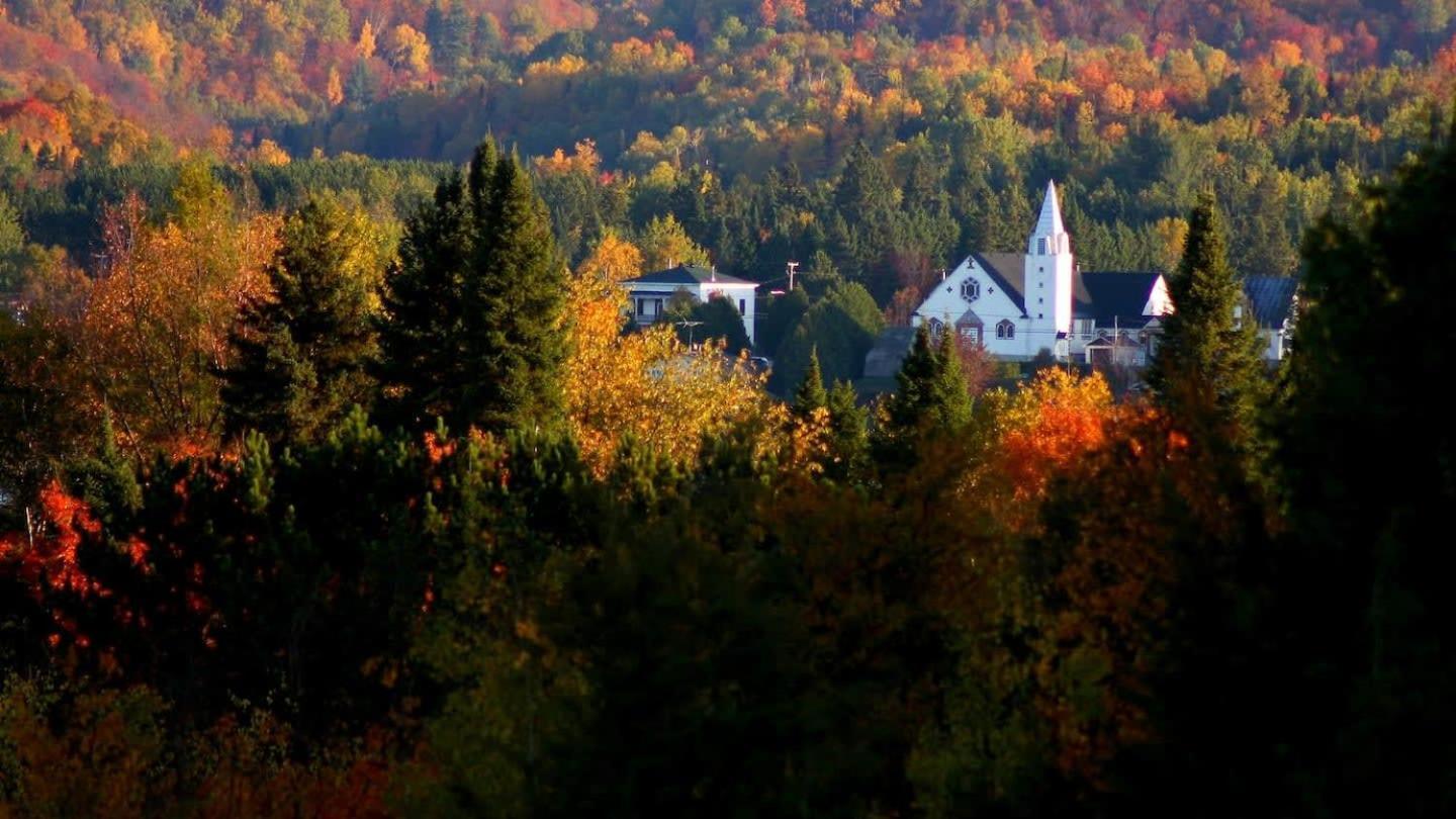Your Cozy Cabin Retreat Saint-Remi-d'Amherst 外观 照片